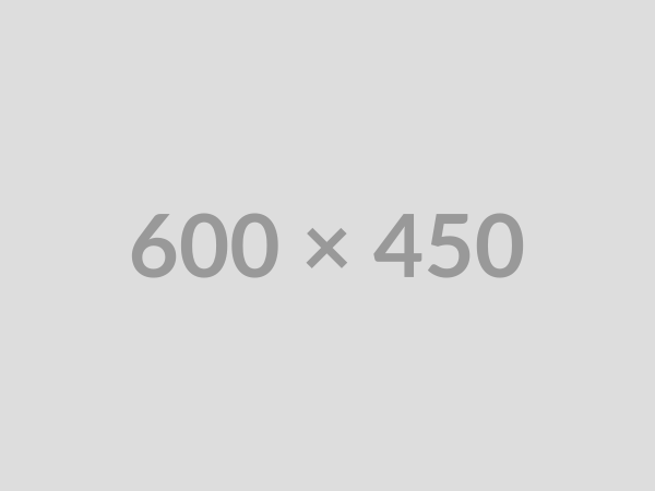 Custom Software Development